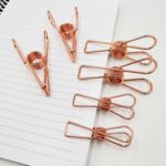 Stainless Steel Clothes Hanging Clips