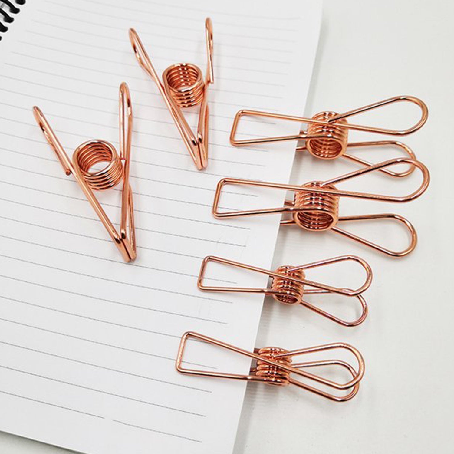 05_e2396690-47a9-4a32-a76f-1b1c802fa4a0.jpg Stainless Steel Clothes Hanging Clips