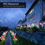 Waterproof Outdoor Solar Lily Flower Stake Lights ( Pack Of 2 pcs ) - Full Detail by Nari Haat, Indian ethnic wear, w...