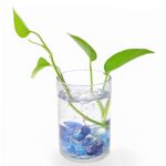 Glass Gem Stone, Flat Round Marbles Pebbles for Vase Fillers, Attractive pebbles for Aquarium Fish Tank. - Fabric Det...