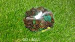 Glass Gem Stone, Flat Round Marbles Pebbles for Vase Fillers, Attractive pebbles for Aquarium Fish Tank. - Full Detai...