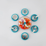 Ganesh Master Chopper with 5 Stainless Steel Blades, XL Large Jumbo Chopper (900 Ml) - Full Detail by Nari Haat, Indi...