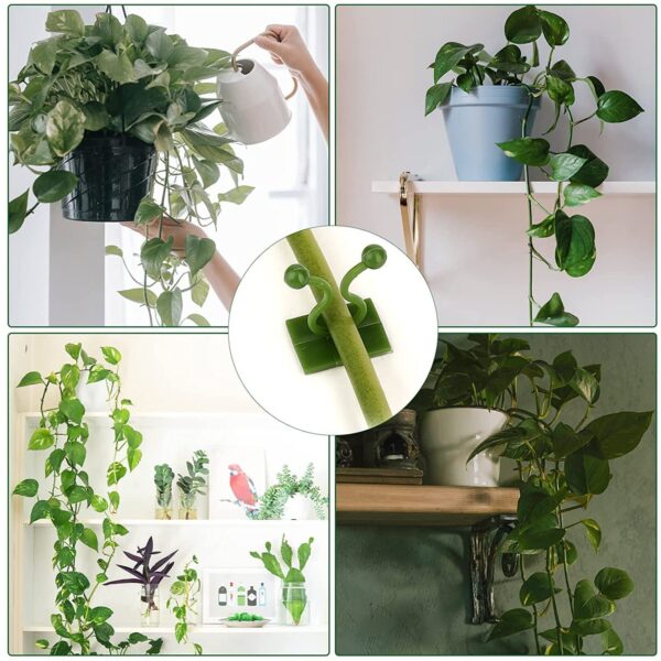 Self-Adhesive Money Plant Support Clips