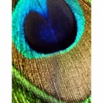 Zoom Peocock Effect image Mobile Case Cover - Image 2