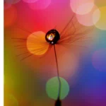 Girl portrait image Mobile Case Cover - Image 2