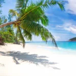 Painted Tree Mobile Case Cover - Image 2