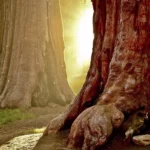 Blue color Texture Background Mobile Case Cover - Image 2