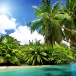 River with Beautiful Coconut Trees Mobile Case Cover - Image 2