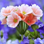 Cool Lavender Flowers Wallpapers Mobile Case Cover - Image 2