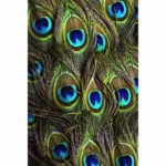 Beautiful Peocock Tail Mobile Case Cover - Image 2