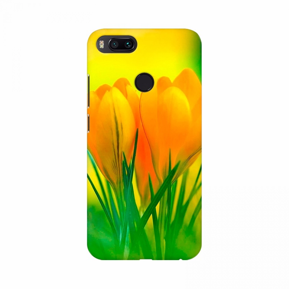 45391607182_0ce3409951_o_d-1000x1000-1.webp Yellow Crocus Flowers Wallpapers Mobile Case Cover