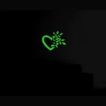 Generic Green Decorative Radium Wall Sticker - Image 4