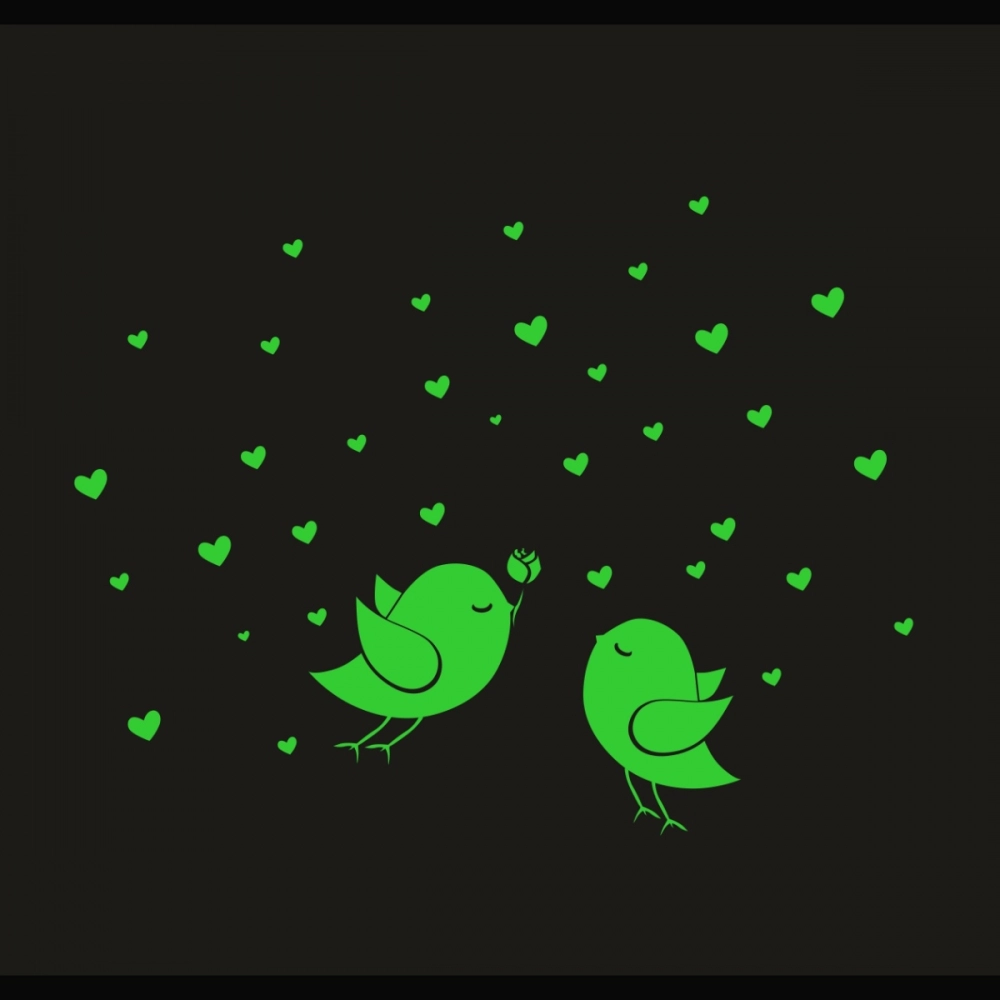 50750766317_abda763dd6_o_d-1000x1000-1.webp Generic Green Birds And Star Radium Wall Sticker - Image 1