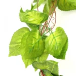 Generic Pack Of 3 Silk Polyester Artificial Money Plant Leaf Vine Hanging Garland Foliage Flowers Leaf Plants For Wall Decoration (Color: Green,Length: 15 Feet) - Image 4