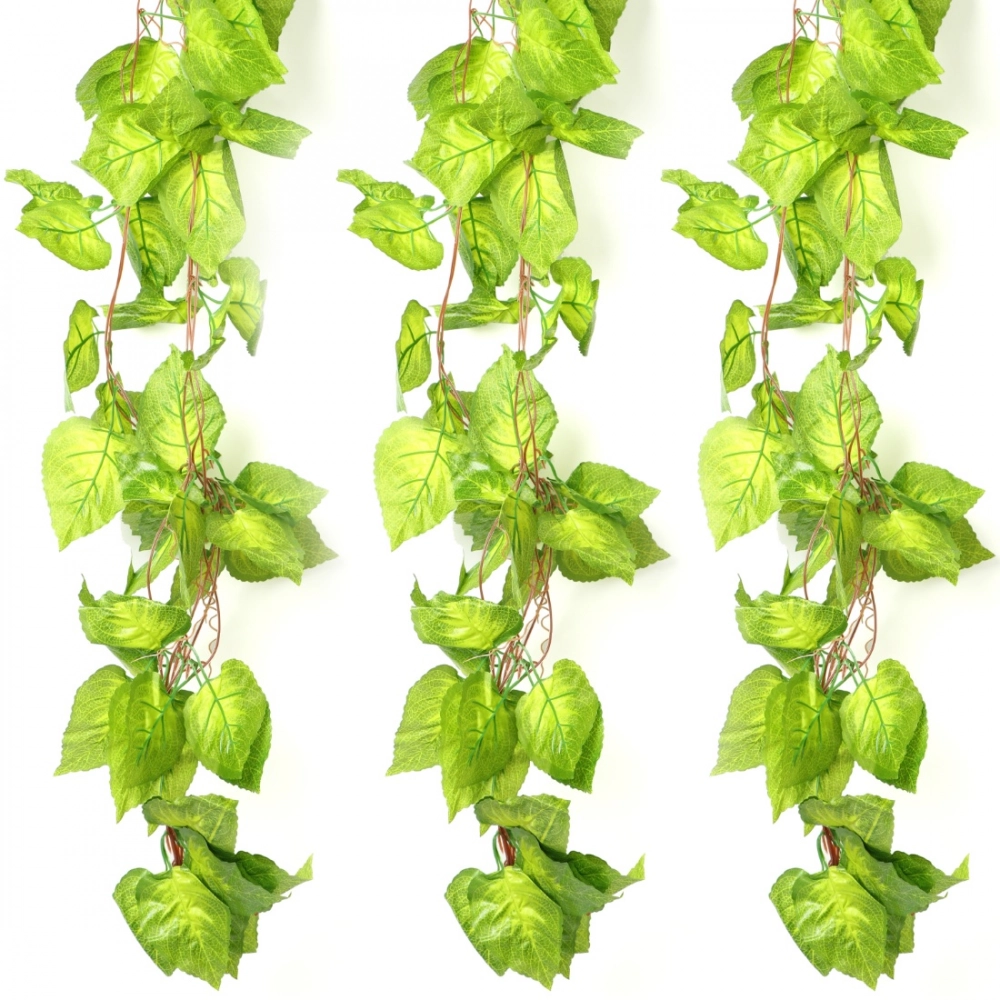 51180163561_8c0824549d_o_d-1000x1000-1.webp Generic Pack Of 3 Silk Polyester Artificial Money Plant Leaf Vine Hanging Garland Foliage Flowers Leaf Plants For Wall Decoration (Color: Green,Length: 15 Feet) - Image 1