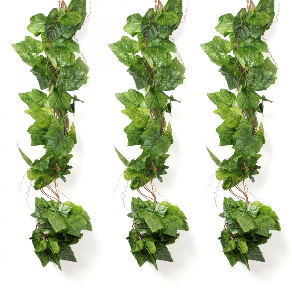 51180977494_c3b01c5162_o_d-1000x1000-1.webp Generic Pack Of 5 Silk Polyester Artificial Grape Leaf Vine Hanging Garland Foliage Flowers Leaf Plants For Wall Decoration (Color: Green,Length: 15 Feet) - Image 1