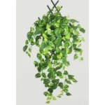 Generic Pack Of 5 Silk Polyester Artificial Money Plant Leaf Vine Hanging Garland Foliage Flowers Leaf Plants For Wall Decoration (Color: Green,Length: 15 Feet) - Image 2