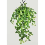 Generic Pack Of 3 Silk Polyester Artificial Money Plant Leaf Vine Hanging Garland Foliage Flowers Leaf Plants For Wall Decoration (Color: Green,Length: 15 Feet) - Image 2