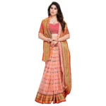 Peach Kota Doria Saree - Angle 4