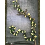 Generic Artificial Flower Creeper Hanging Rose Garland For Home Decoration (Color: Cream, Material: Silk Polyester) - Image 2