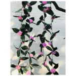 Generic Artificial Light Pink Marigold Genda Flower Vine Creepe With Big Green Leaves For Home Decoration (Color: LightPink, Material: Silk Polyester) - Image 2