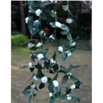 Generic Artificial White Marigold Genda Flower Vine Creeper With Big Green Leaves For Home Decoration (Color: White, Material: Silk Polyester) - Image 2