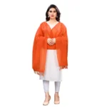 Orange Cotton Silk Striped Dupatta