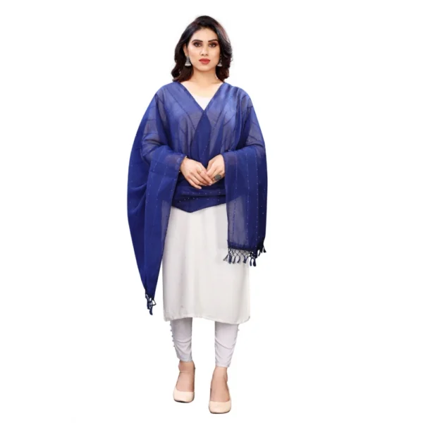 Cotton Silk Dupatta Blue