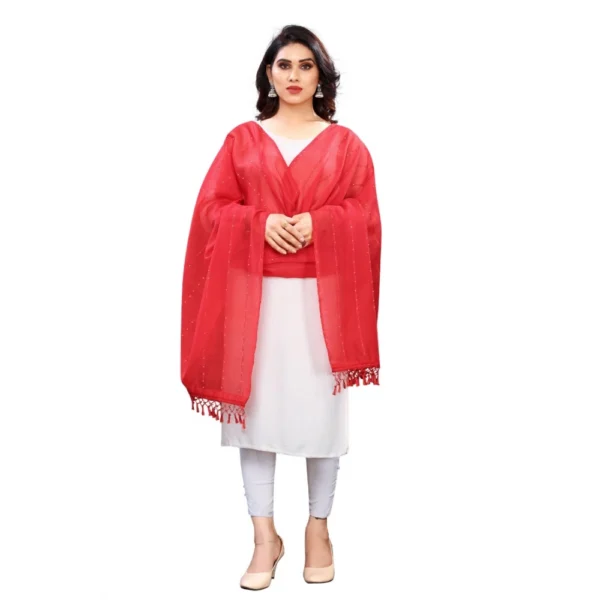 Red Cotton Silk Printed Dupatta for Women