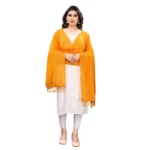 Mustard Yellow Cotton Silk Striped Dupatta