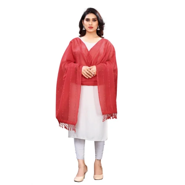 Maroon Cotton Silk Striped Dupatta