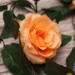 Generic Artificial Rose Vine Flowers With Green Leaves For Home Party Garden Wall Decoration (Peach, Material:Silk, Polyester) - Image 4