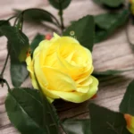 Generic Artificial Rose Vine Flowers With Green Leaves For Home Party Garden Wall Decoration (Yellow, Material:Silk, Polyester) - Image 4
