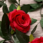 Generic Artificial Rose Vine Flowers With Green Leaves For Home Party Garden Wall Decoration (Rani Pink, Material:Silk, Polyester) - Image 4