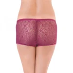 Generic Women's Nylon Mid Waist Rise Wine Lace Sheer Boyshort Panty (Wine) - Image 3