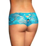 Generic Women's Lace Mid Waist Hipster Lace Panty In Criss Cross Pattern (Blue) - Image 3