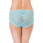 Generic Women's Nylon Mid Rise Lace With Medium Coverage Hipster Panty (Light Blue) - Image 3