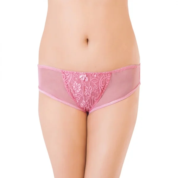 Generic Women's Nylon Mid Rise Light Pink Lace With Medium Coverage Transparent Hipster Panty (Light Pink)