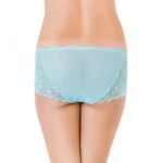 womens lace hipster panty