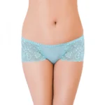womens lace hipster panty
