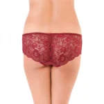 Generic Women's Nylon Mid Waist Frilled Floral Sheer Lace Hipster (Wine Red) - Image 4