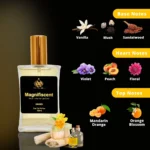 Generic Europa Magnifiscent 100ml Perfume Spray For Men And Women - Image 5