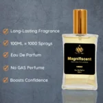 Generic Europa Magnifiscent 100ml Perfume Spray For Men And Women - Image 3