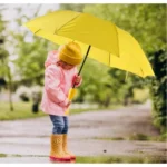 Generic Stylish Banana Shaped Mini Foldable Umbrella (Color: Assorted) - Image 2