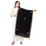 Black Velvet Gotta Patti Dupatta for Women