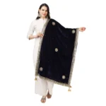 Blue Velvet Gotta Patti Dupatta for Women