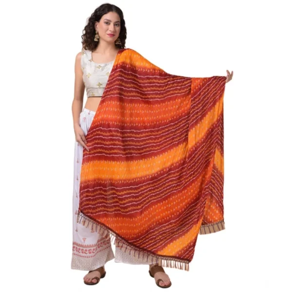 NariHaat Multicolor Chanderi Dupatta