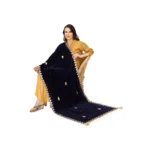 Generic Women's Velvet Gotta Patti Dupatta (Blue, Length: 2.25 to 2.50 Mtr) - Image 2