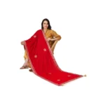 Pink Velvet Dupatta - Angle 2