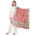Maroon Art Silk Printed Dupatta for Women